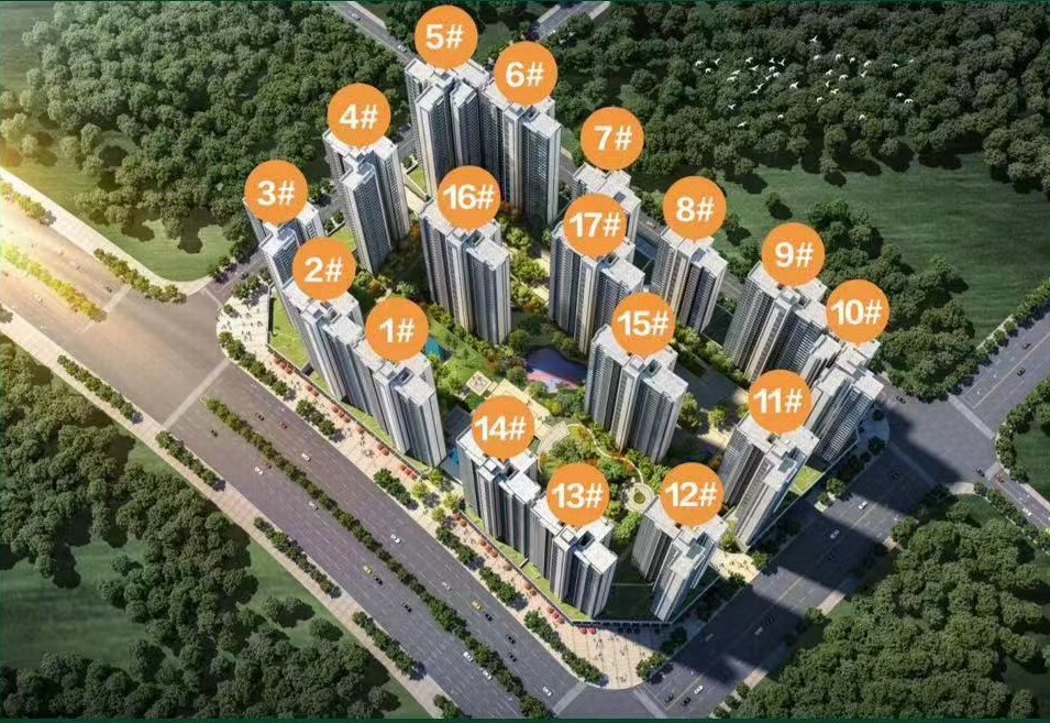 枫林时代 